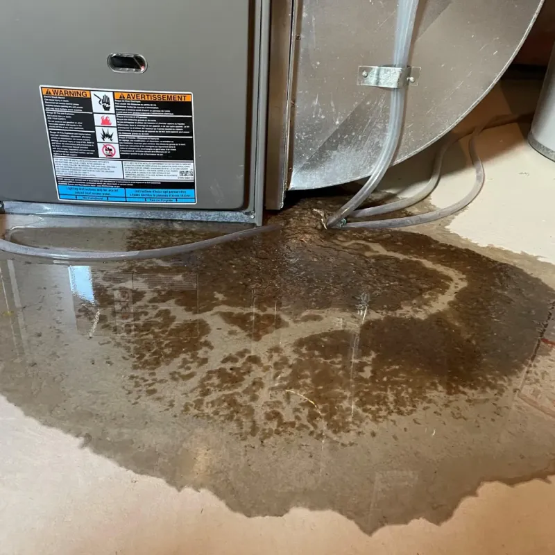 Appliance Leak Cleanup in La Joya, TX