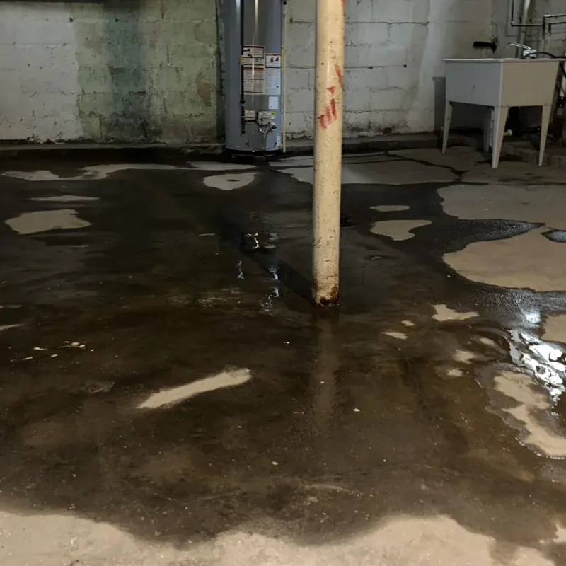 Emergency Water Extraction And Removal in La Joya, TX